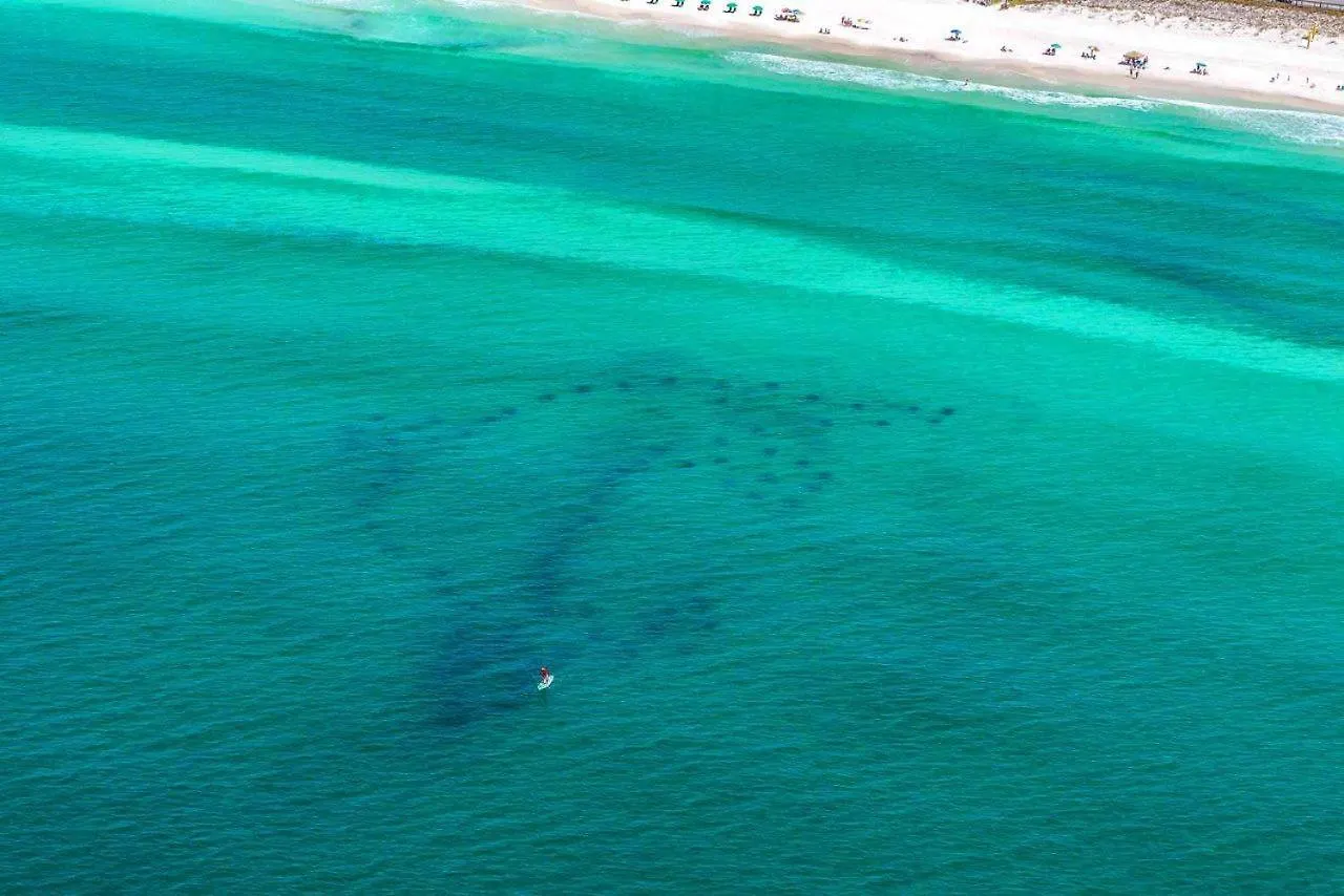 Vakantiehuis Sandy Pelican Destin